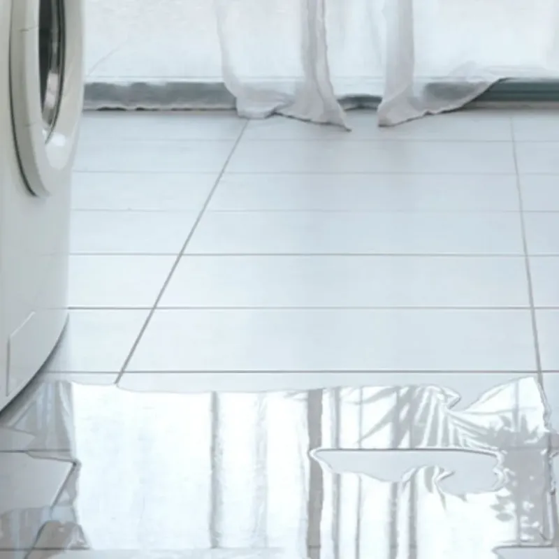 Appliance Leak Cleanup in Island County, WA