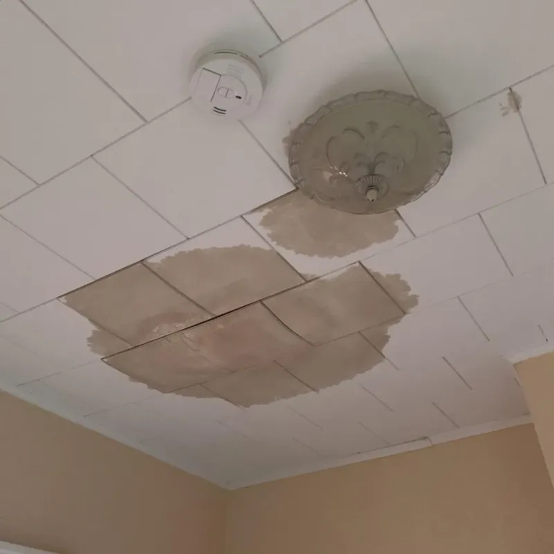 Ceiling Water Damage Repair in Island County, WA