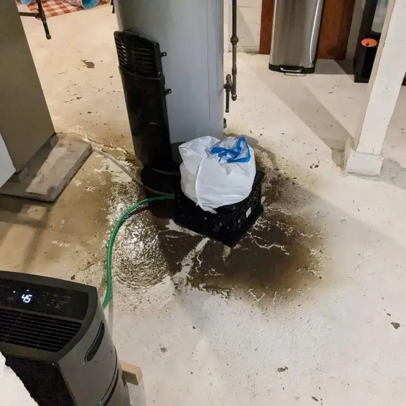 Sewage Backup Cleanup Service in Island County, WA